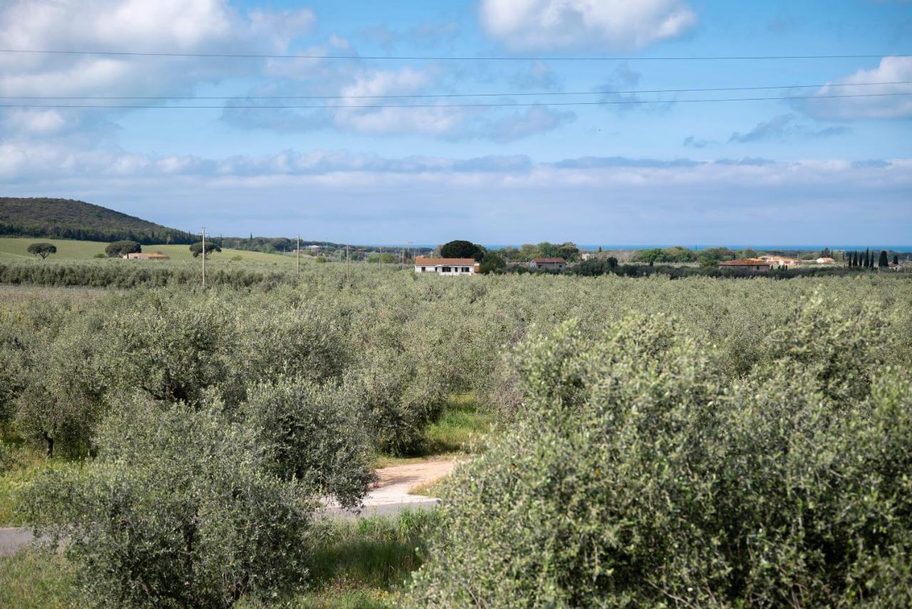 Podere Vignanova Accommodations & Spa Castagneto Carducci Exterior photo